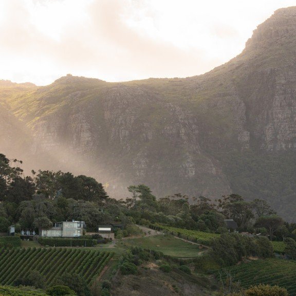 Beau Constantia Property View