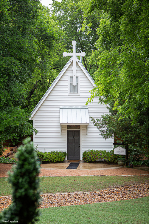 Gallery — Little Wren Weddings