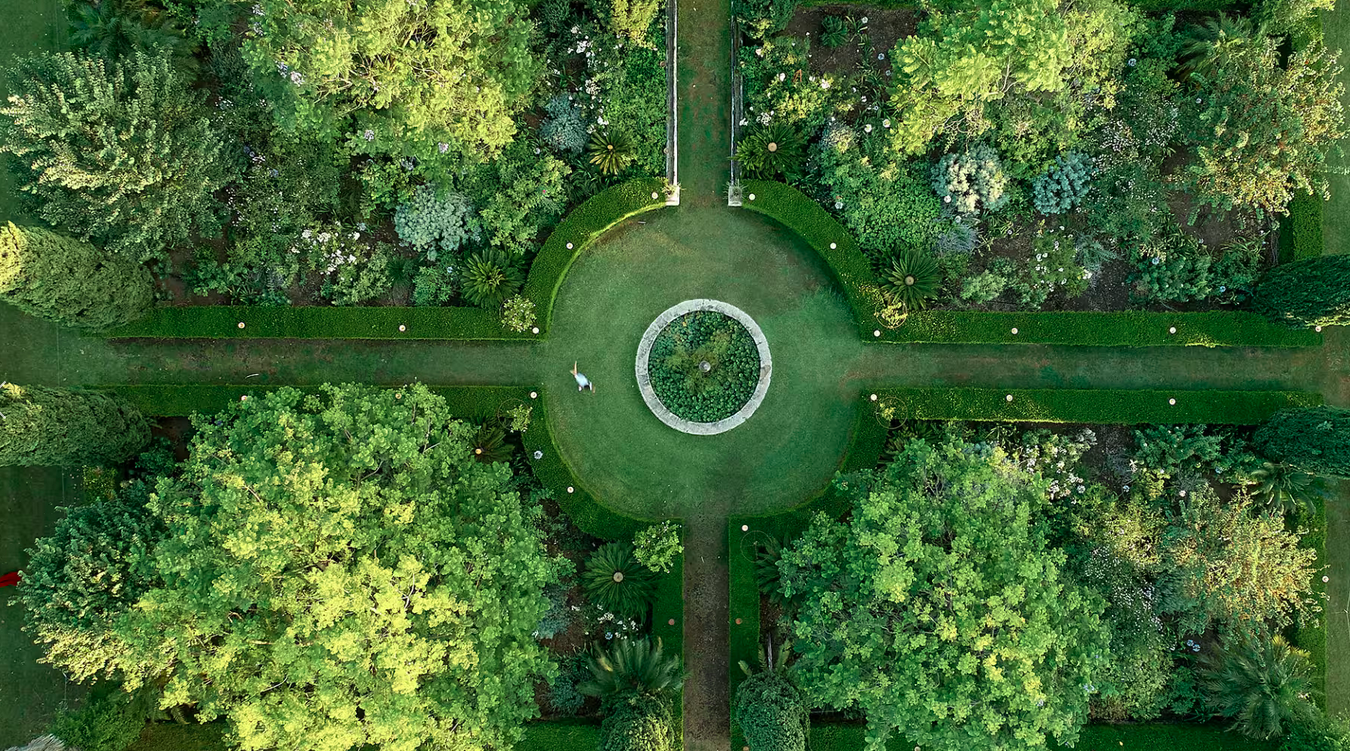 birdseye garden.png