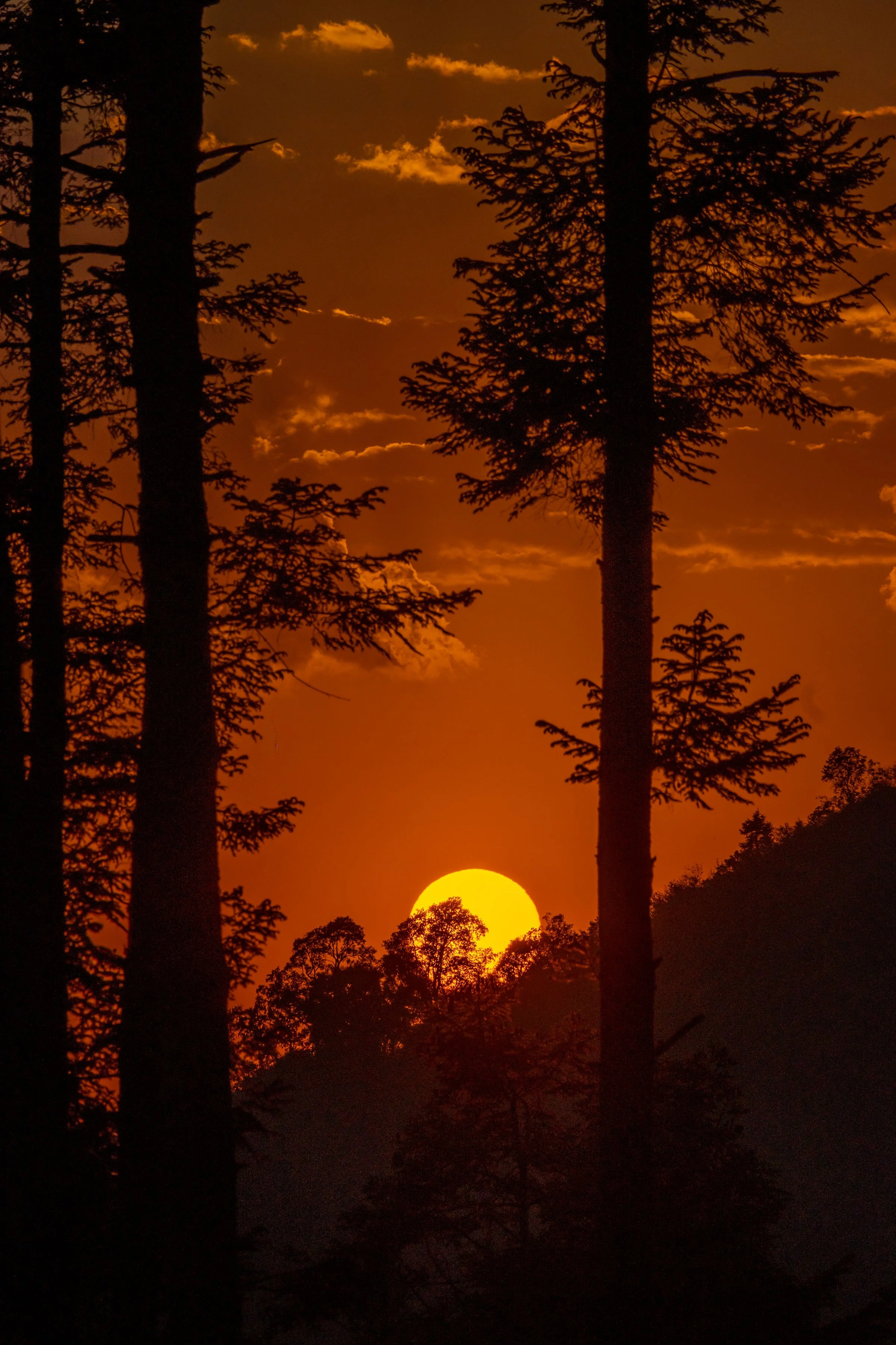ATARDECER.jpg