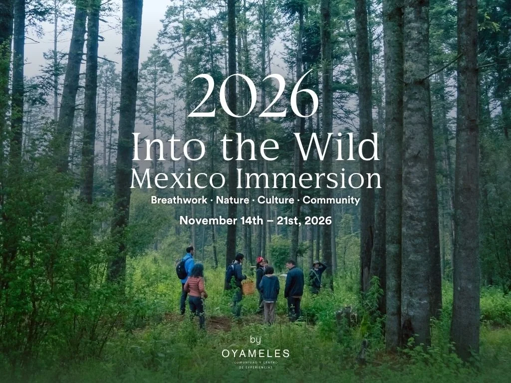 Into the Wild - Mexico Immersion
