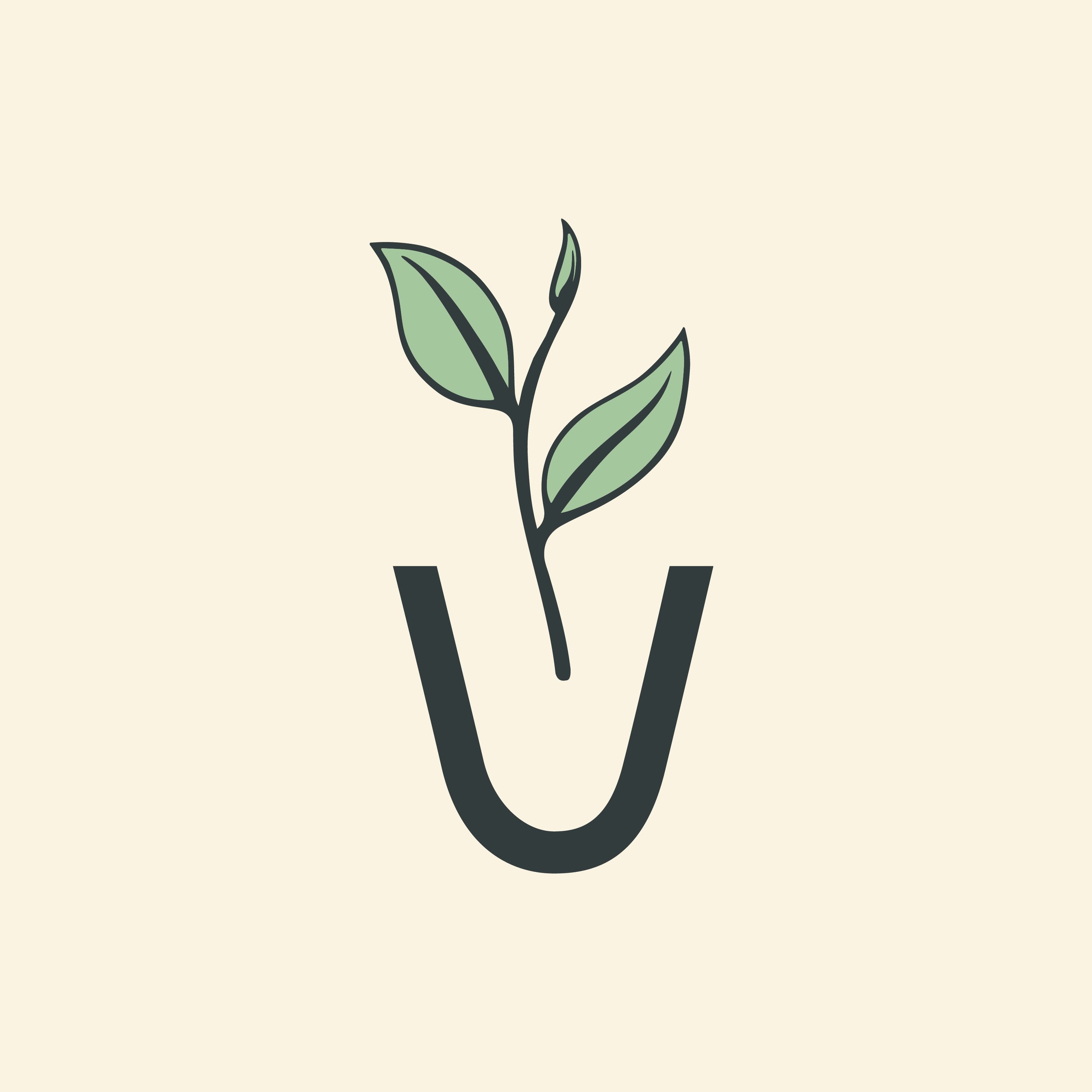 2020 1102_HV_Logo-01.jpg