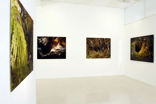 exhibition06_004.jpg