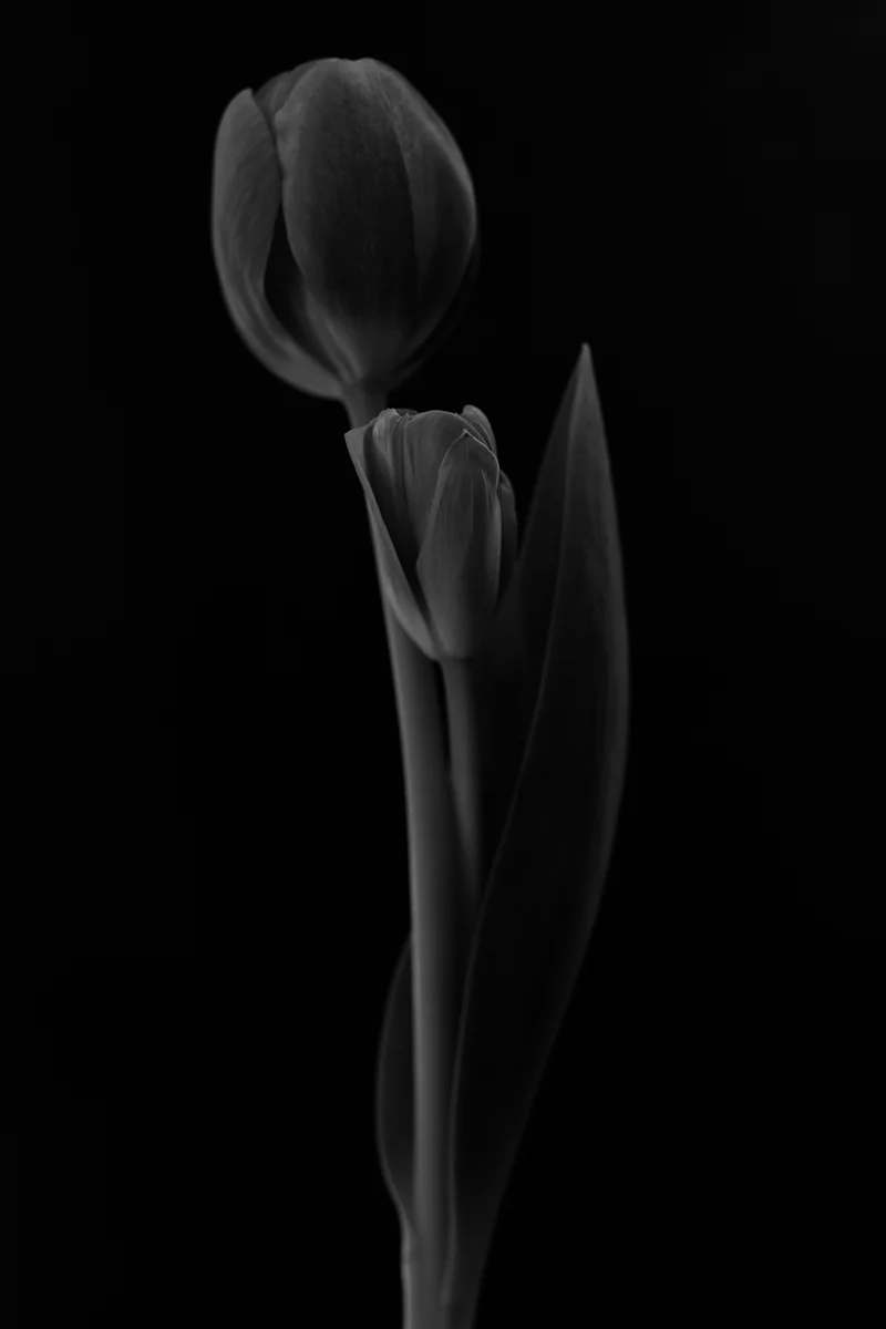 200_002_06_PvonAh_epva.jpg