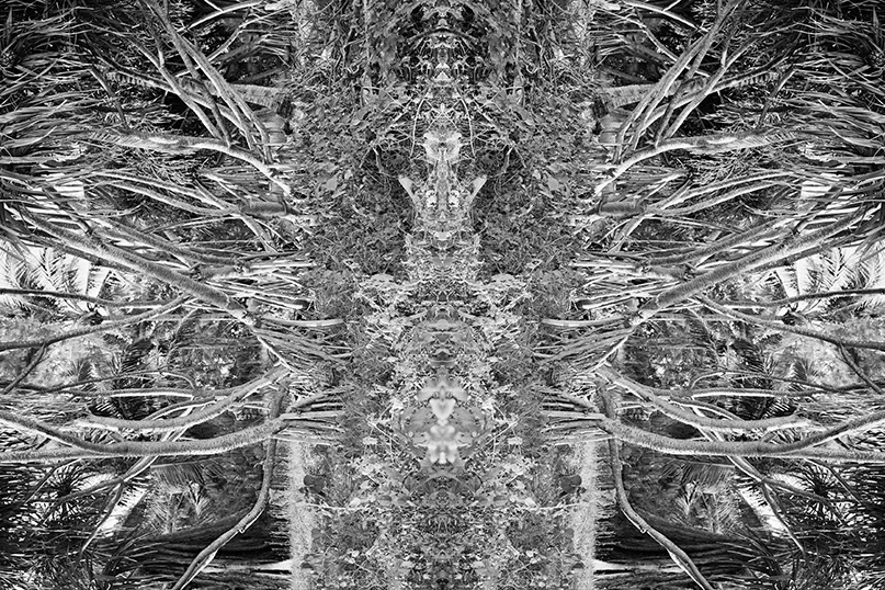 990_018_05_02T_PvonAh_epva.jpg