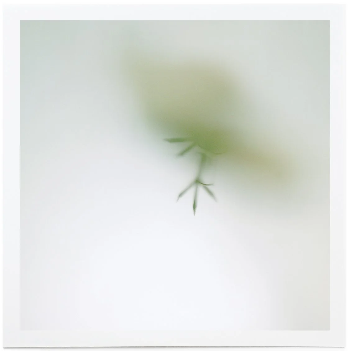 LB_04_100x100_PvonAh.jpg