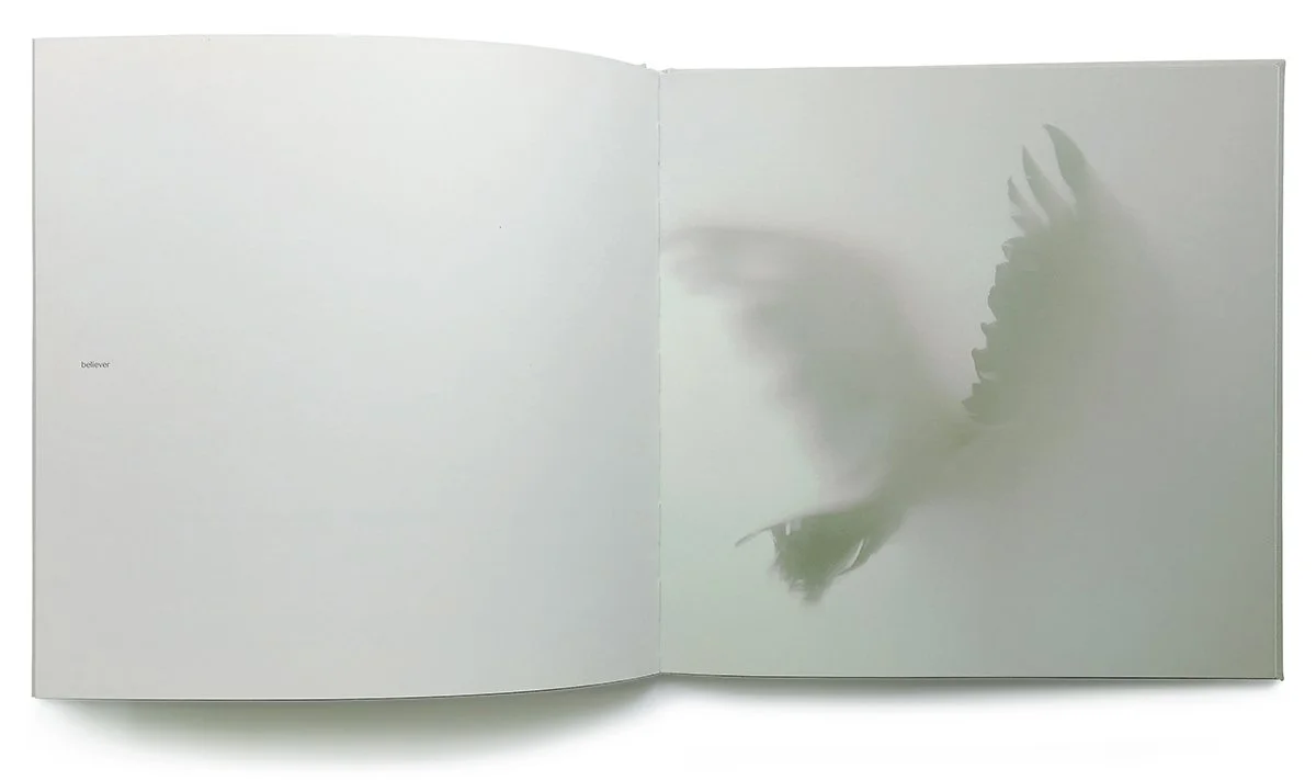 LB_book_02_1200.jpg