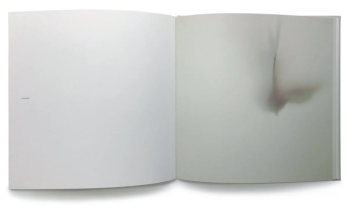 LB_book_04_1200.jpg