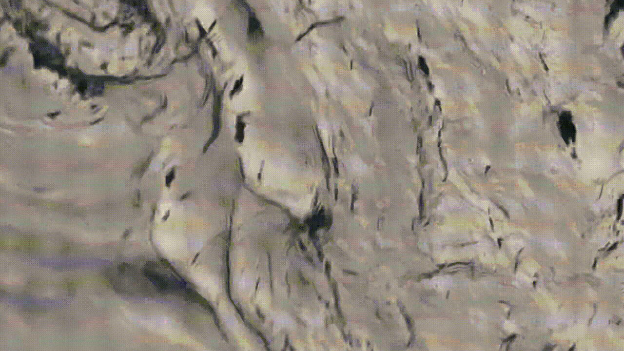 FLOW_muddy water_loop_02_01 short_1.gif
