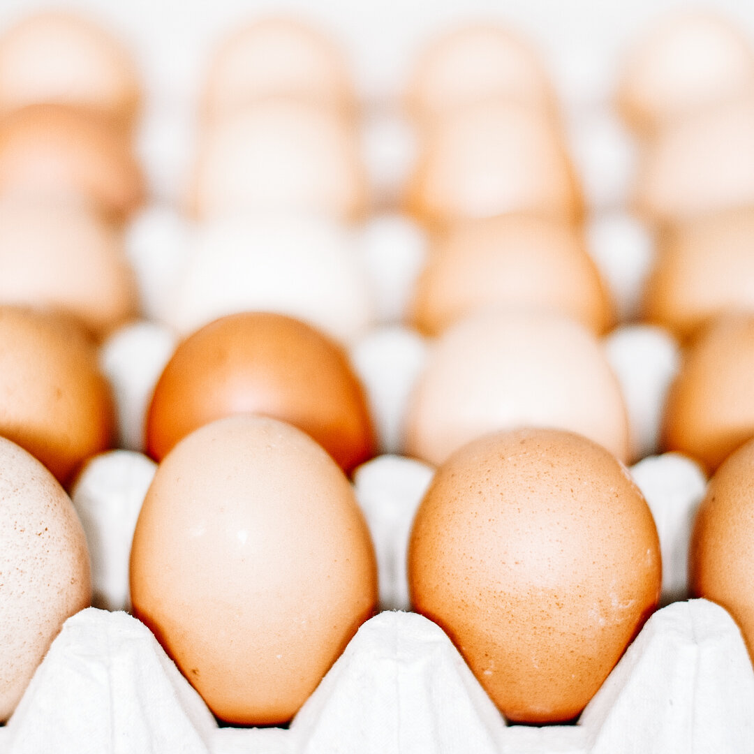 Copycat Starbucks Egg White Egg Bites Fat Loss Lifestyle School