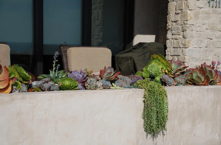 一心一意 （2014-7-14）