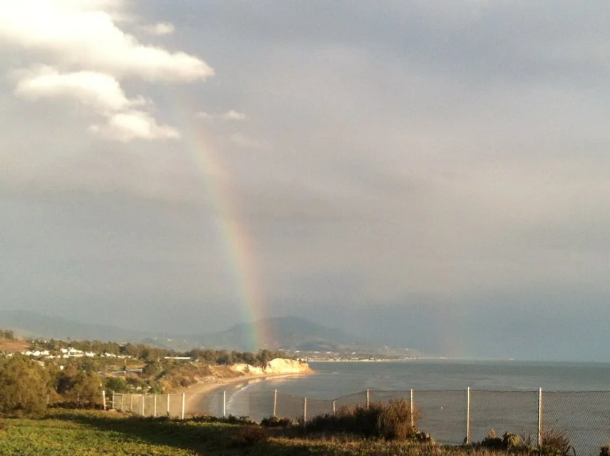 加州彩虹 （2014-2-6） 