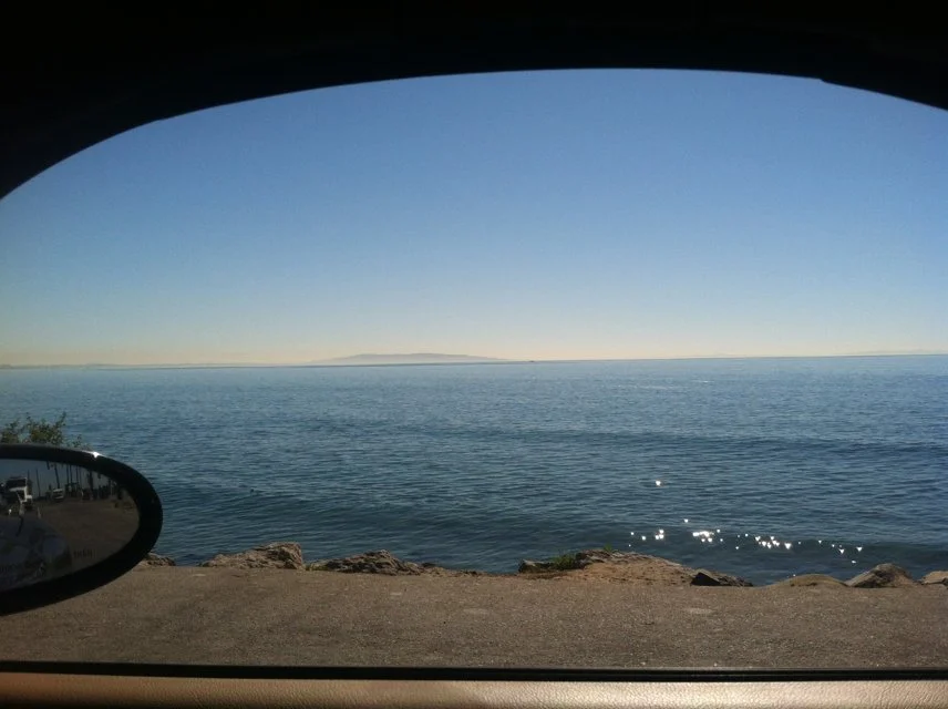 好奇害死猫 （2014-1-16）