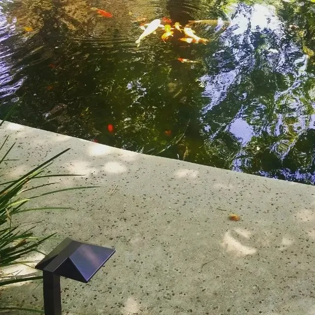 "战"后, 花园地灯亮了 （2015-6-23）