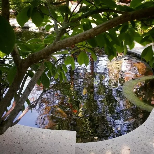 孩子家事 （2015-3-27）