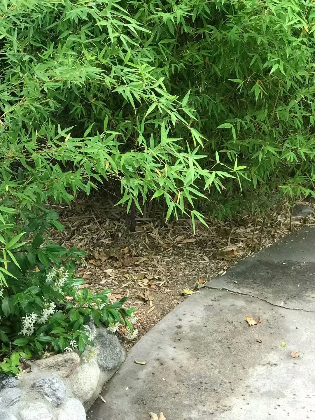 包裝了的知識 （2018-6-8）