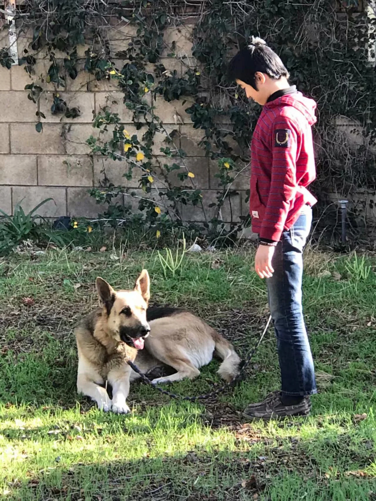 德牧故事 （2018-2-4）