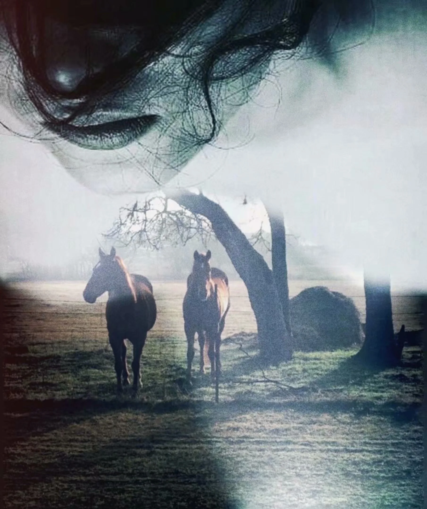 基礎文明（2018-1-16）