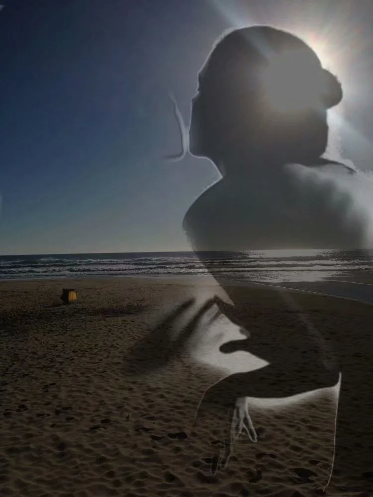 狼与狗的故事 （2017-12-4）