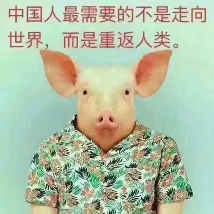 “进化论” （2017-11-28）