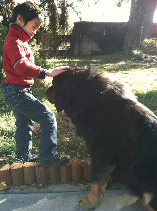 始乱终弃的文化怪圈 （2017-9-27） 