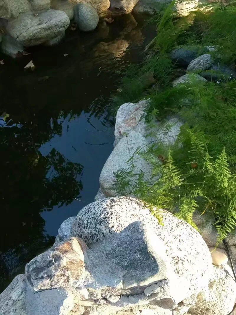 真命天子 （2017-7-24）