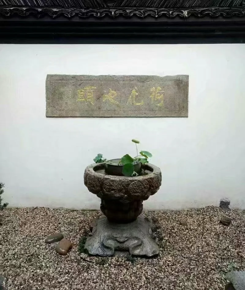 中国蚊子 （2017-7-4） 