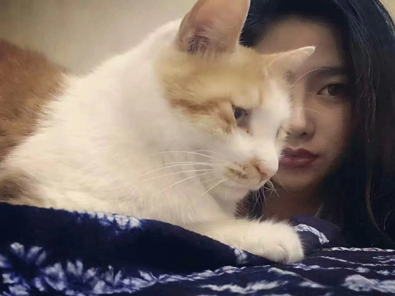 自己离去的直升机 （2017-3-25）