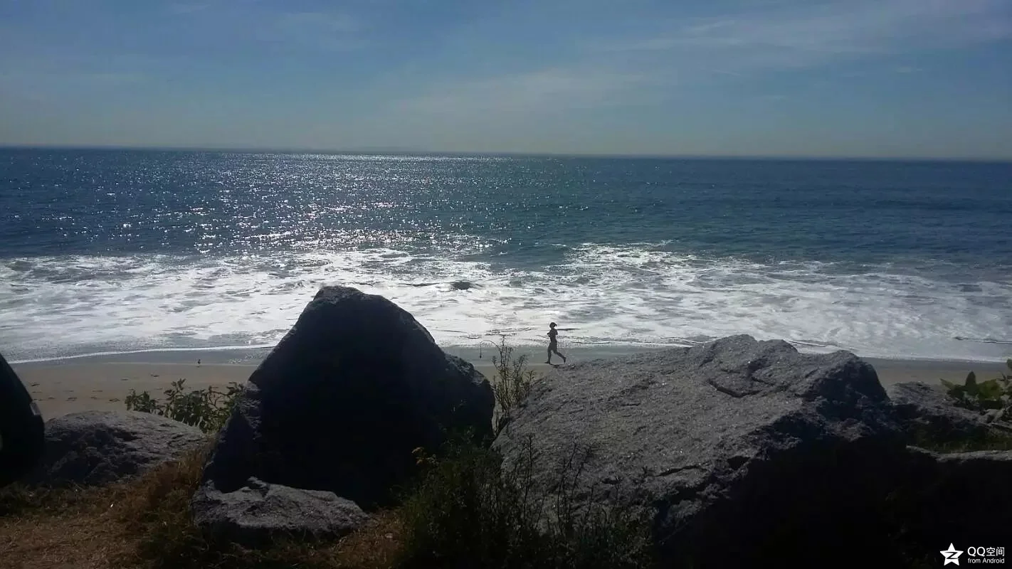 两种种族主义 （2016-11-11）