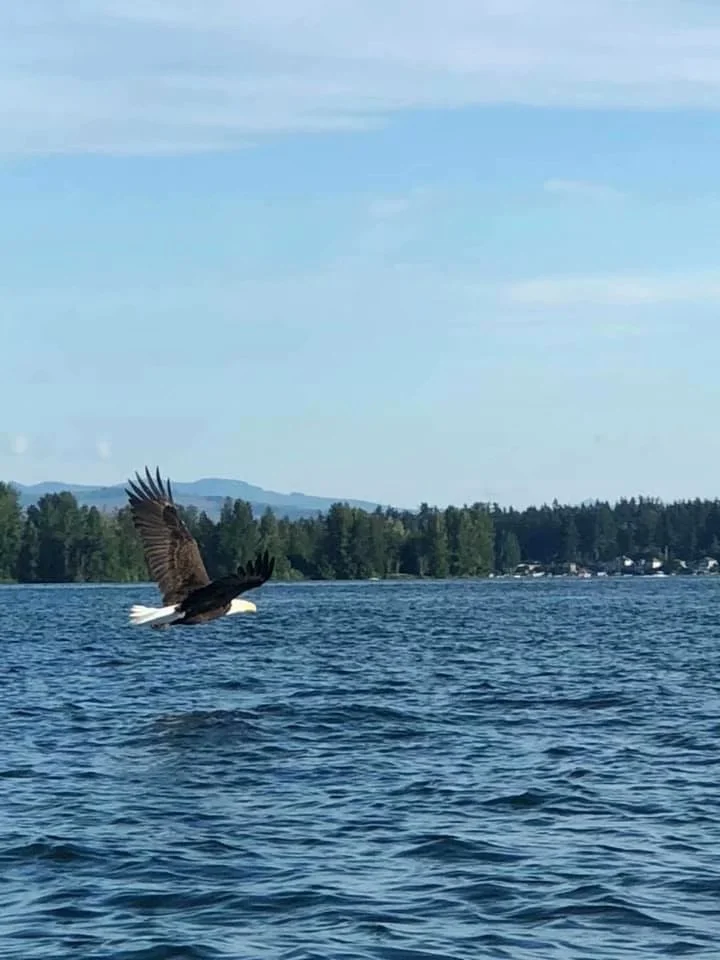 英国独立的意义 （2016-6-26）