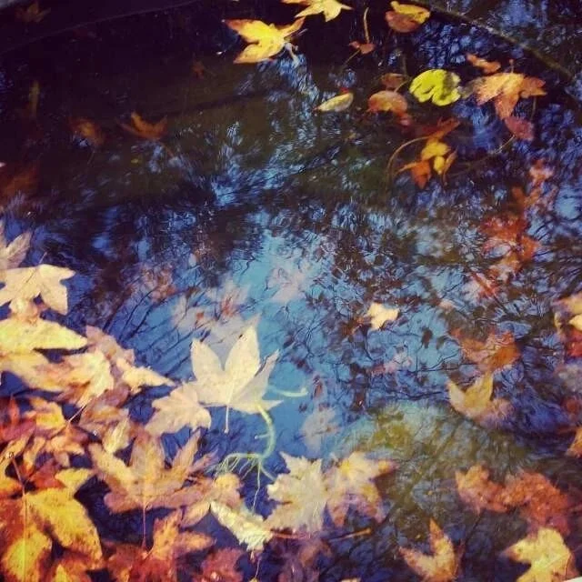 微信, 让大家高兴就好 （2016-1-9）