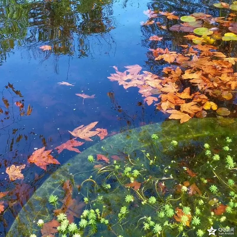 来自太平洋的飓风雨 （2016-1-7）