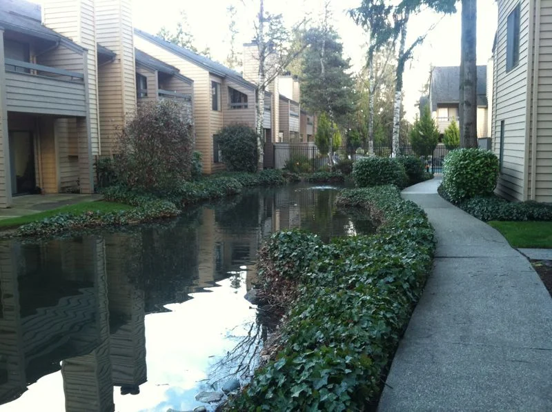 湖上公寓 （2013-3-5） 