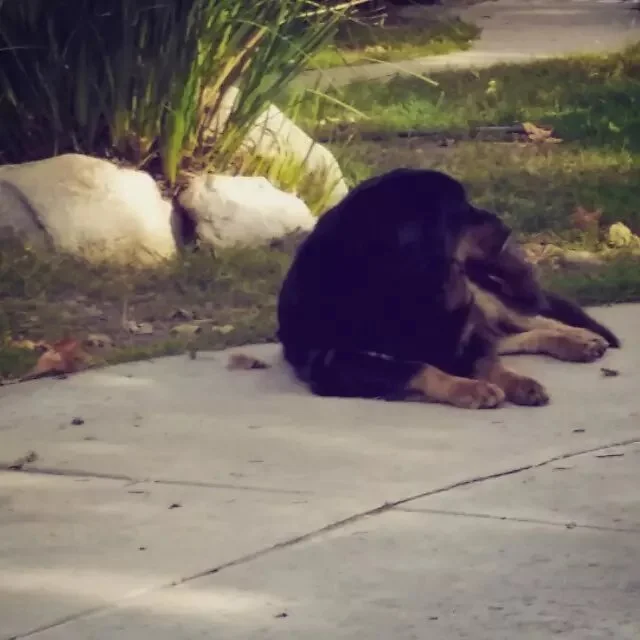 Ruby的变化 （2013-2-24）