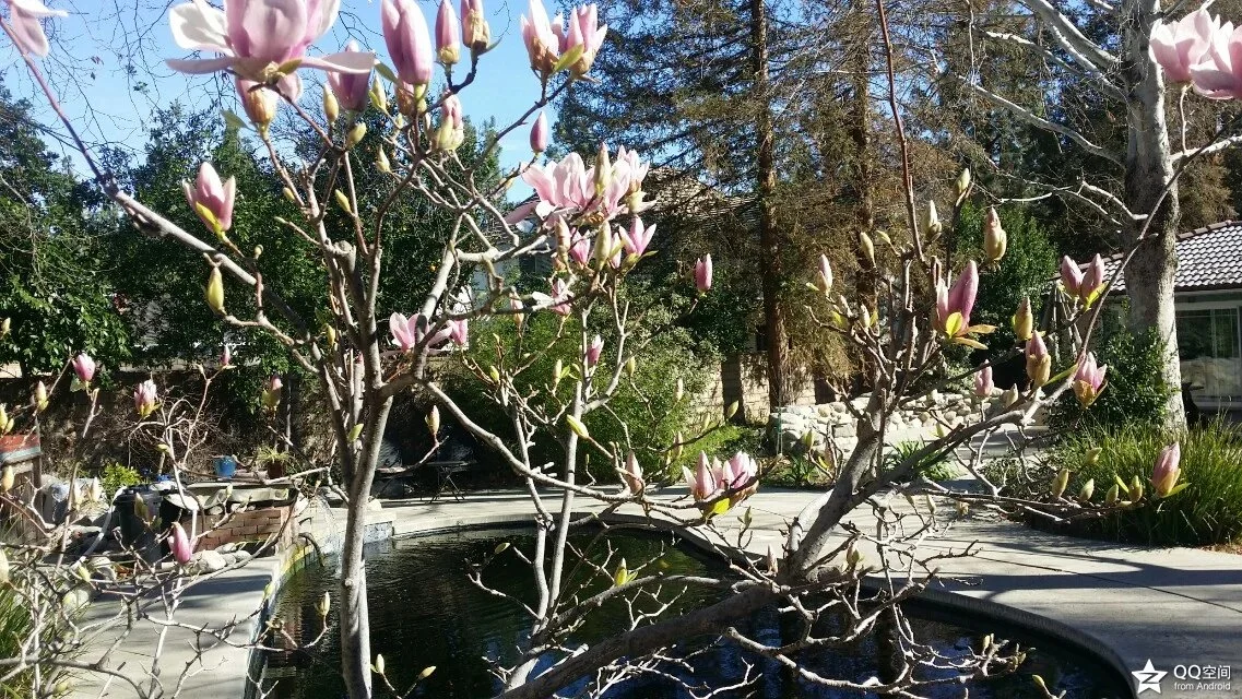 情人节 （2013-2-14）