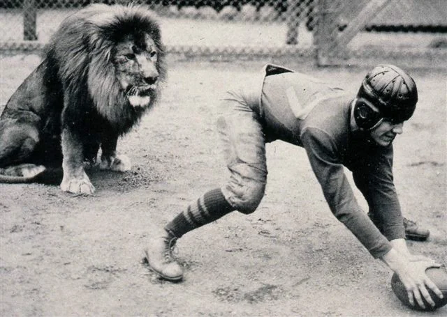 罗耀拉之狮 （2012-4-28） 