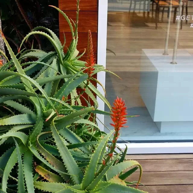 享受巧克力 （2012-2-12）