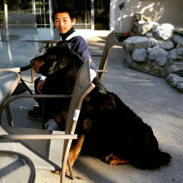 冬日，带孩子遛狗 （2012-2-5）