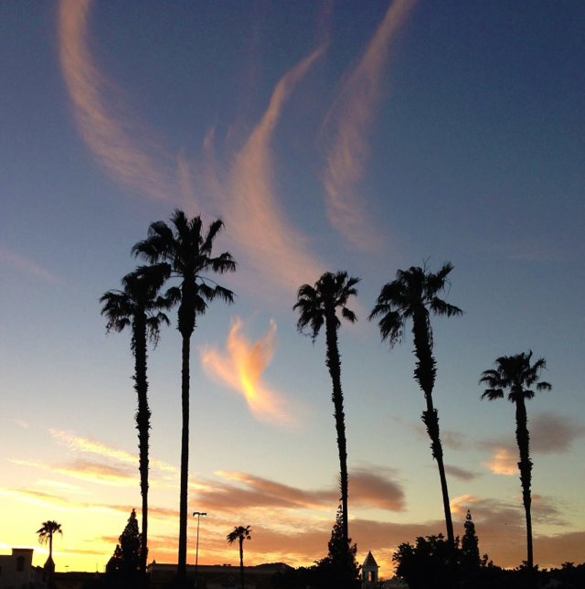 另辟蹊径 （2011-10-18）