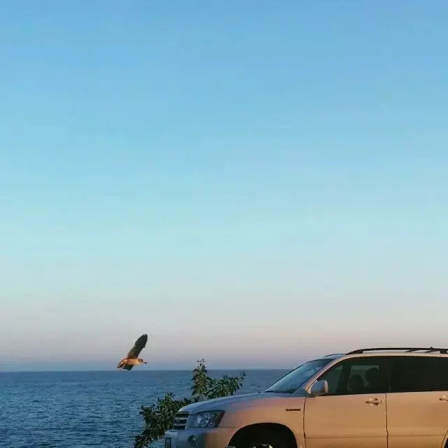 乘风归来 (2010-4-15)