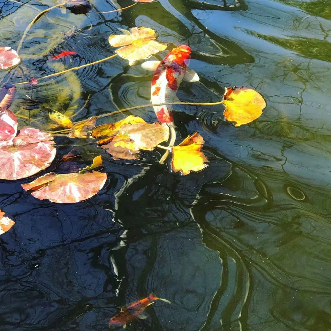 把失敗者丟進垃圾桶 