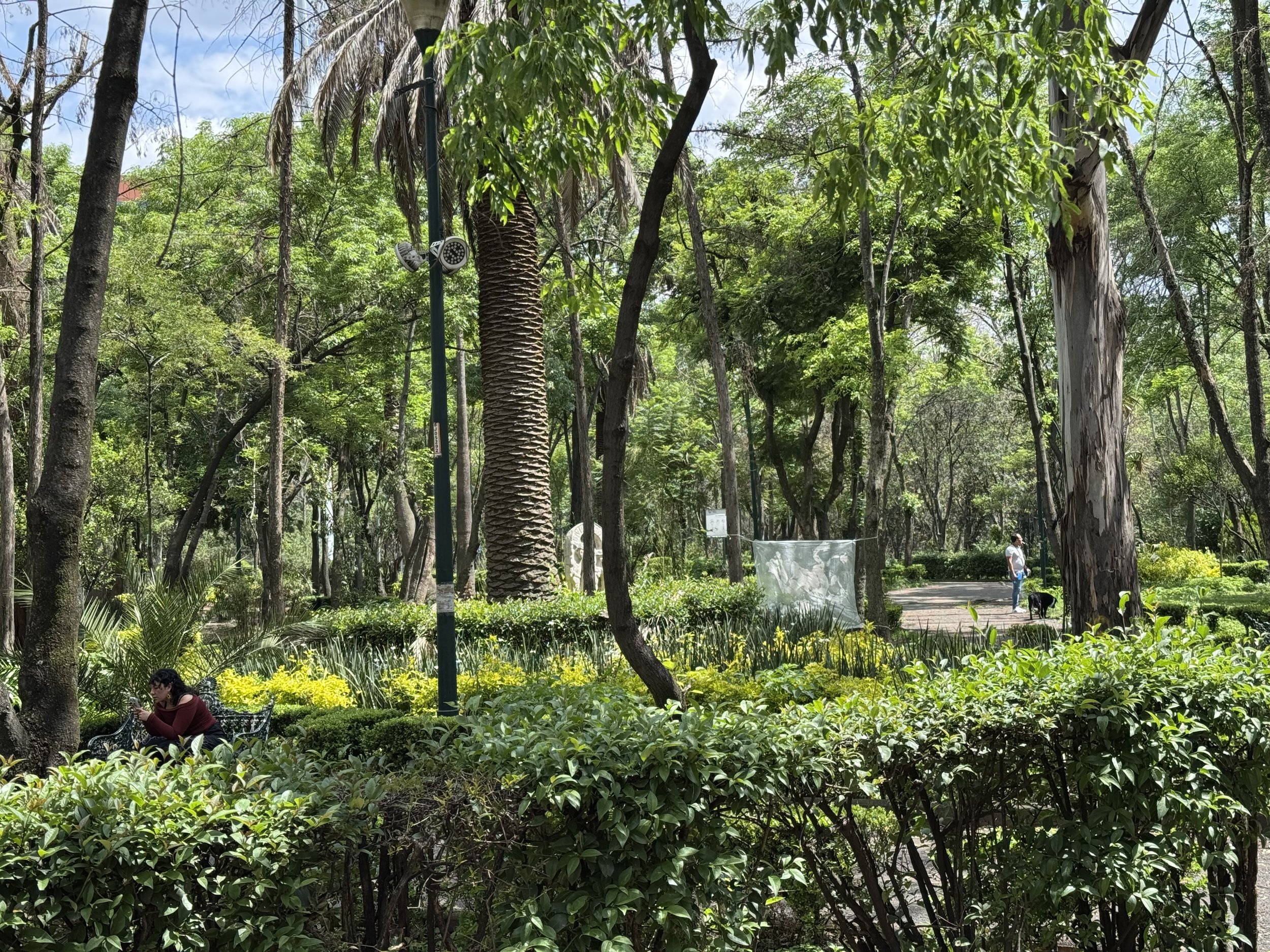 WOB Parque Hundido wide.jpg