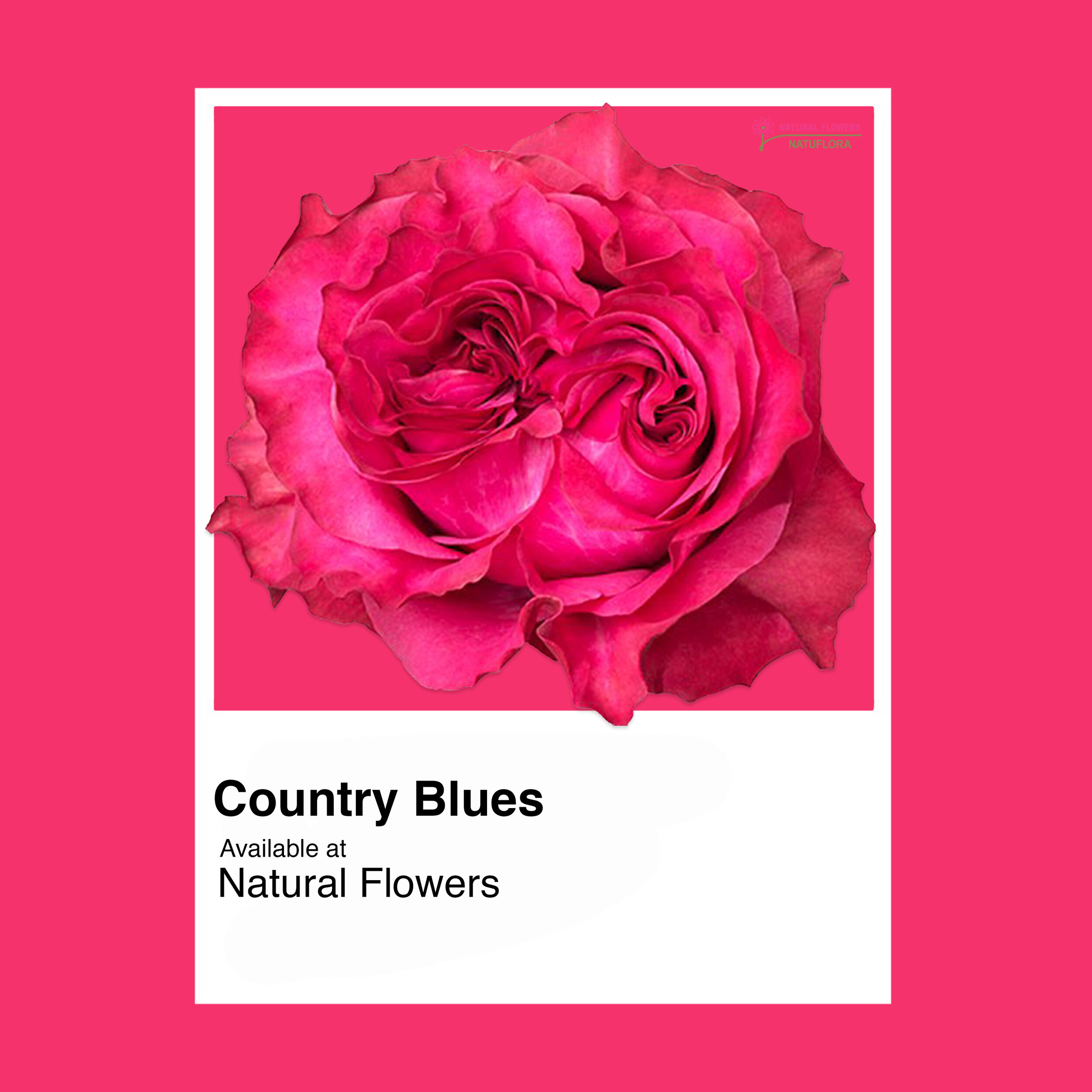 Country Blues
