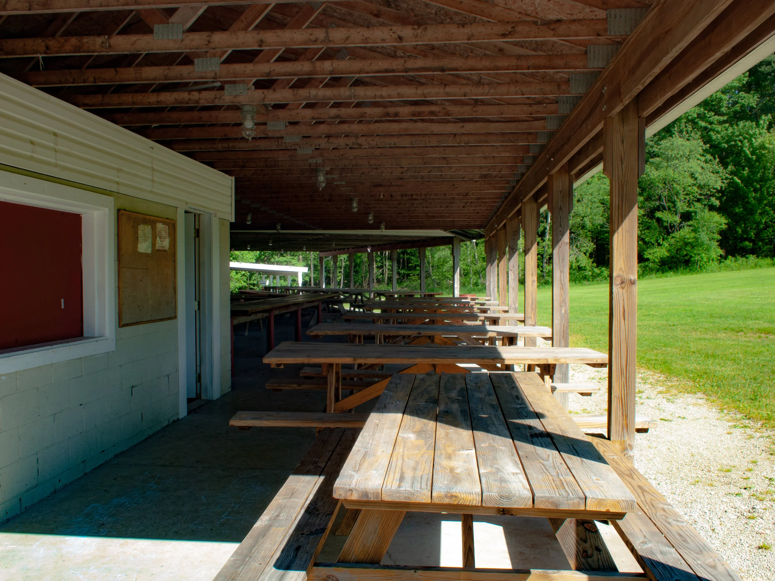 P5262056.jpg