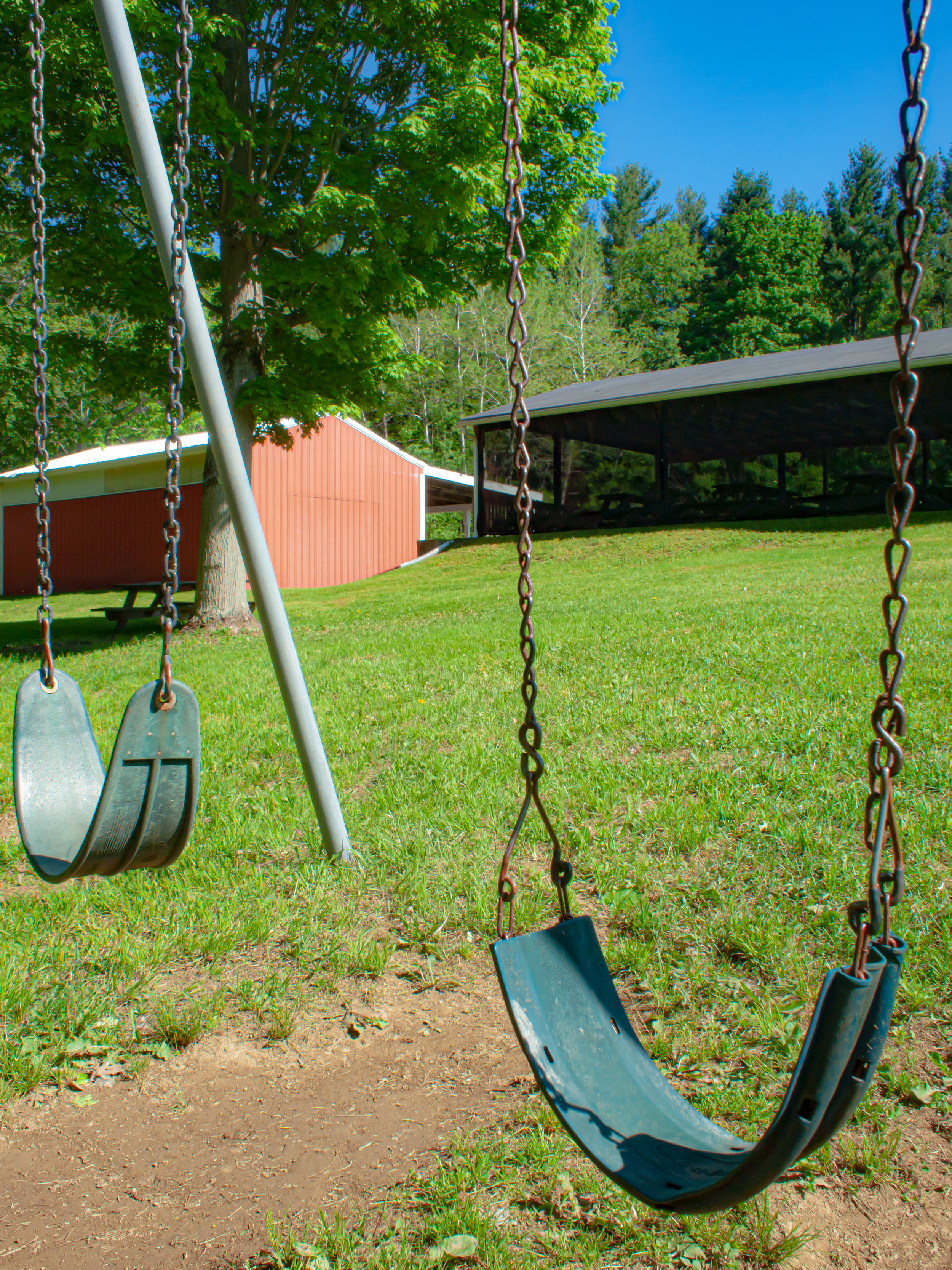 P5262069.jpg