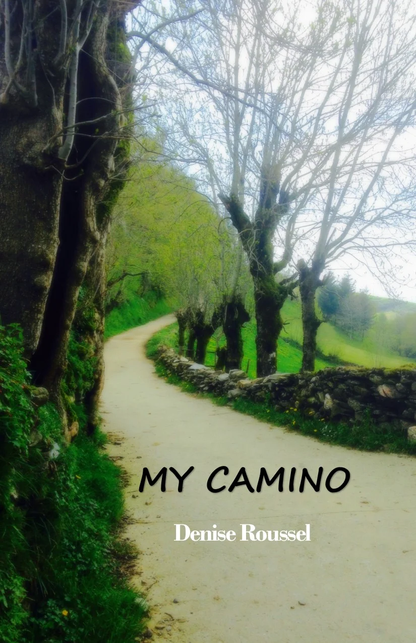7i My Camino.jpg
