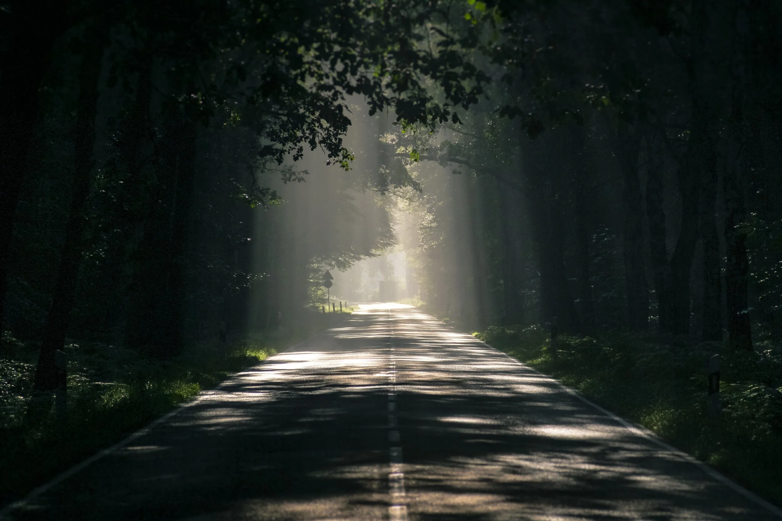 Initiate Yourself: Recipes for Collective Healing in April 2020