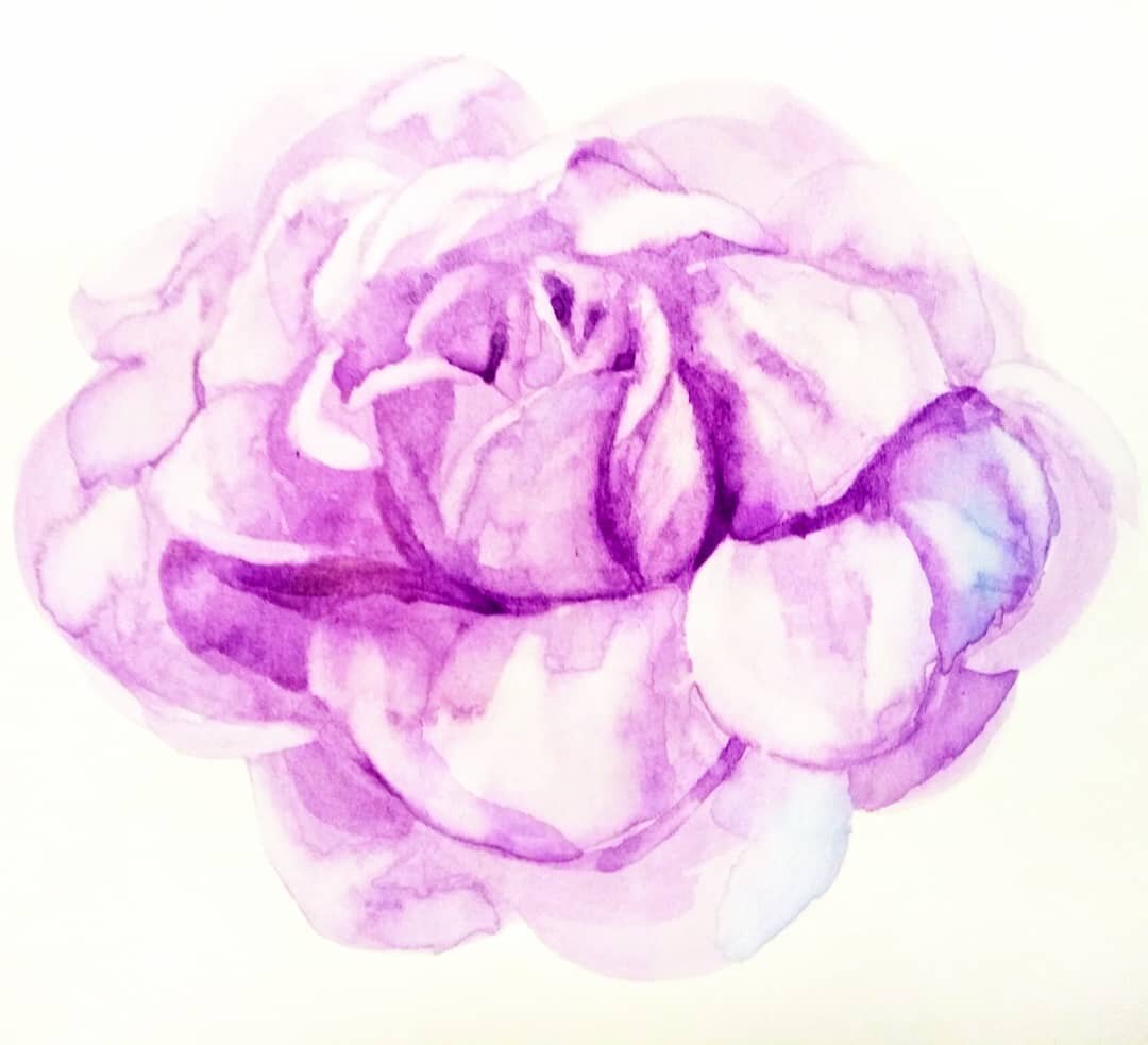 Allow yourself to fall in love in a moment

#watercolor #watercolorart #watercolorpainting #flower #flowerpainting #flowerwatercolor #watercolorflower #watercolorflowers #watercolorillustration #purpleflowers #bloomwhereyouareplanted #blossoms #being