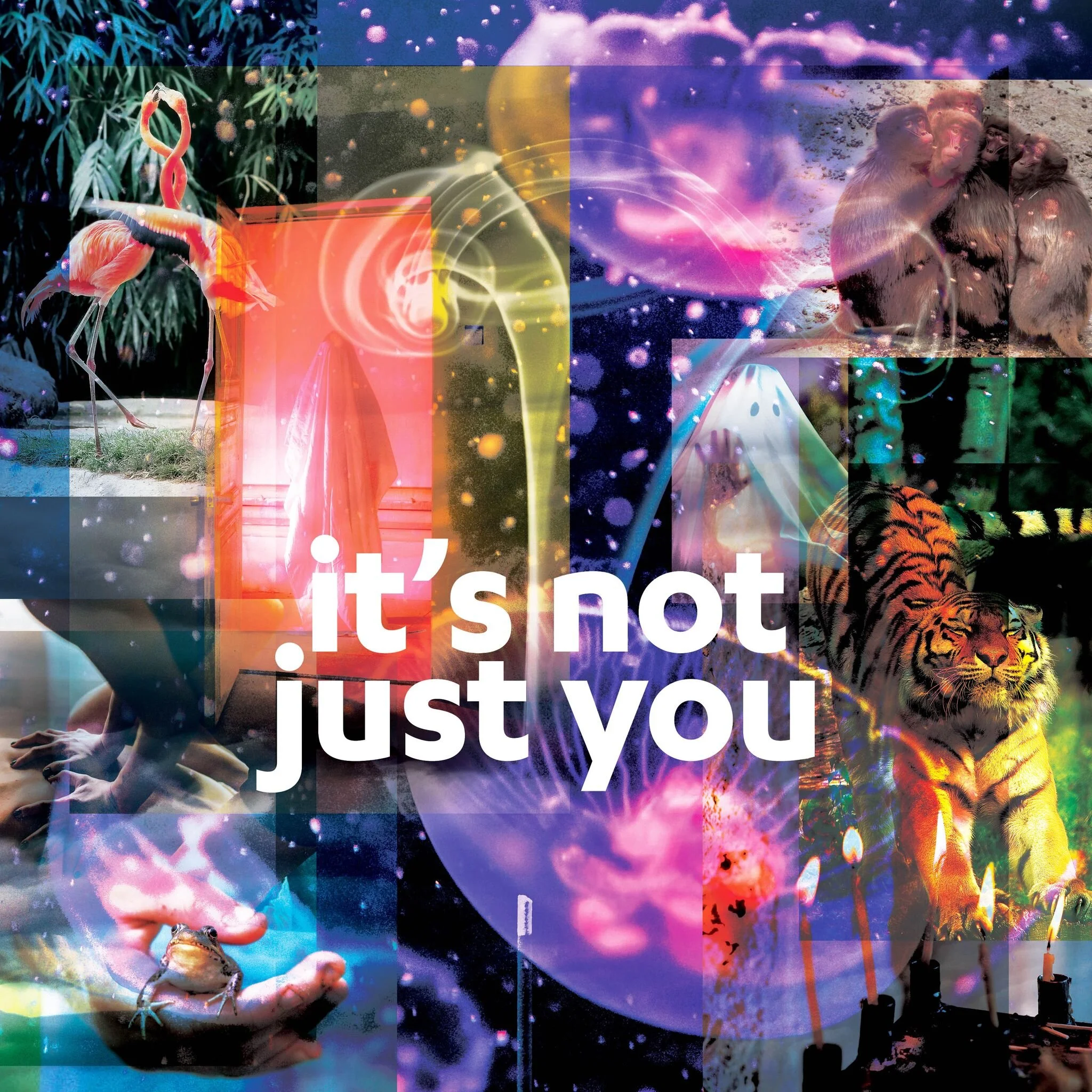 Align Your Orbit: It's Not Just You