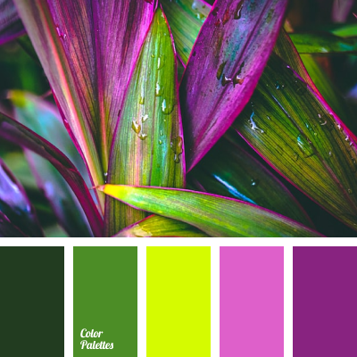 color-palette-4557.png